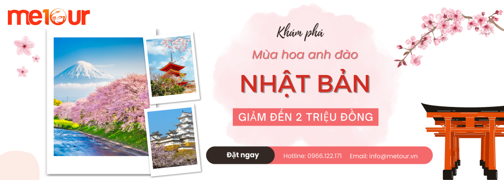 mua hoa anh dao nhat ban