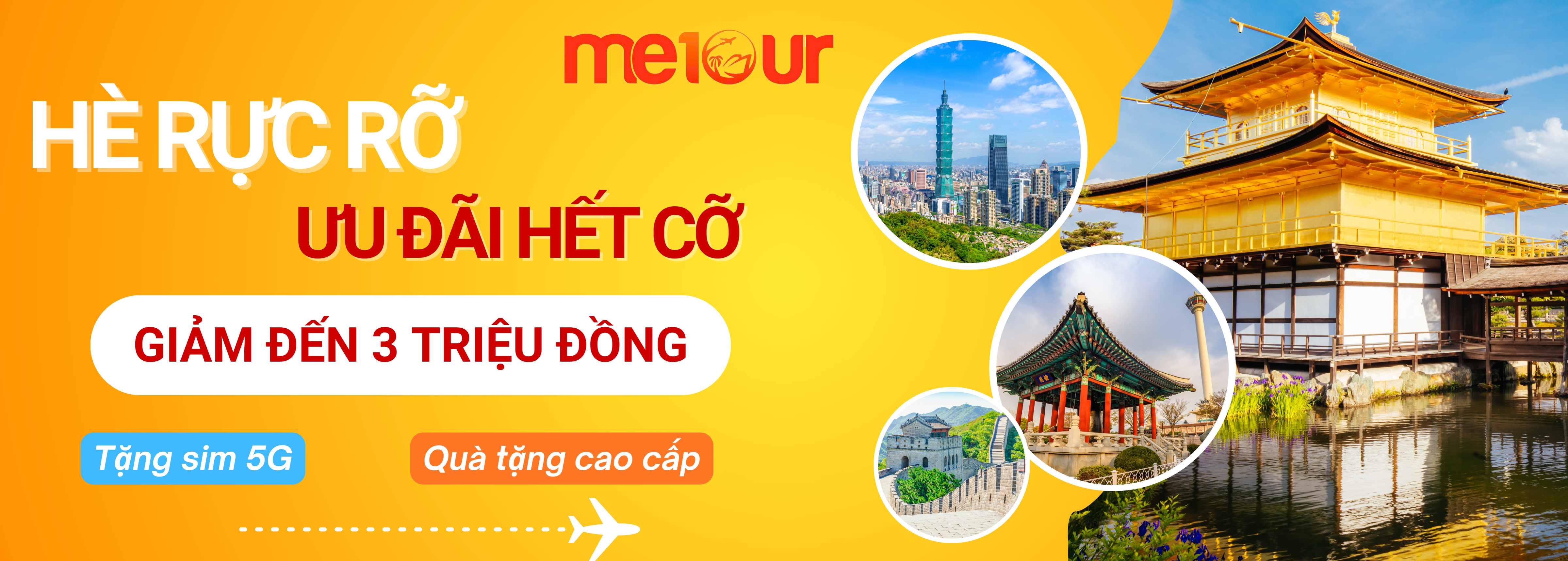 hoa anh dao